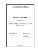 Báo cáo thực tập khoa kinh tế đại học thương mại   công ty cổ phần thương mại đầu tư hoàng long