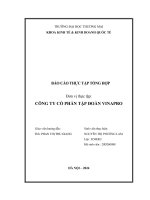 Báo cáo thực tập khoa kinh tế đại học thương mại   công ty cổ phần tập đoàn vinapro