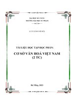 Tài liệu học tập học phần cơ sở văn hoá việt nam (2 tc)