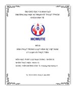 Đề tài hình phạt trong luật hình sự việt nam lý luận và thực tiễn