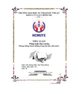 Tiểu luận pháp luật đại cương phòng chống tham nhũng trong bộ máy nhà nước