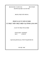 Luận văn thạc sĩ Luật học: Pháp luật ưu đãi xã hội và thực tiễn thực hiện tại tỉnh Lạng Sơn