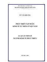 Phát triển tập đoàn kinh tế tư nhân ở việt nam