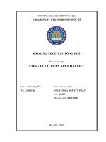 Báo cáo thực tập khoa kinh tế đại học thương mại công ty cổ phần Apex Đại Việt