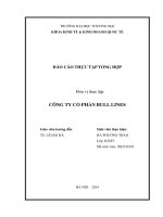 Báo cáo thực tập khoa kinh tế đại học thương mại   công ty cổ phần bull lines