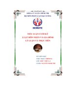 Tiểu luận cuối kỳ luật hôn nhân và gia đình lý luận và thực tiễn