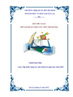 Tiểu luận lớp cộng tác viên thanh tra