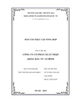 Báo cáo thực tập khoa kinh tế đại học thương mại   công ty cổ phần xuất nhập khẩu đầu tư an bình