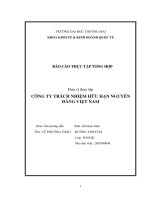 Báo cáo thực tập khoa kinh tế đại học thương mại   công ty tnhh nguyên đăng việt nam