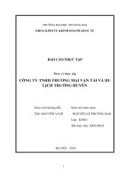 Báo cáo thực tập khoa kinh tế đại học thương mại   công ty tnhh thương mại vận tải và du lịch trường huyền