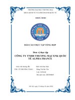 Báo cáo thực tập khoa kinh tế đại học thương mại   công ty tnhh thương mại xnk quốc tế alpha france