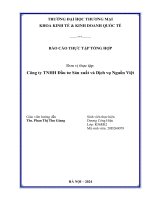Báo cáo thực tập khoa kinh tế trường đại học thương mại   công ty tnhh đầu tư sản xuất và dịch vụ nguồn việt