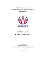Tiểu Luận Cuối Kì Hành Vi Tổ Chức.pdf