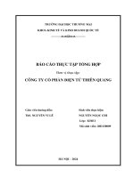 Báo cáo thực tập khoa kinh tế đại học thương mại   công ty cổ phần điện tử thiên quang