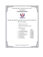 Tiểu luận cuối kỳ hệ thống hoạch định nguồn lực doanh nghiệp (erp)