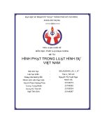 Tiểu luận cuối kỳ đề tài hình phạt trong luật hình sự việt nam