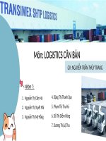 Hoạt động dịch vụ logistics của transimex