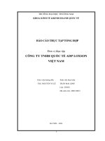 Báo cáo thực tập khoa kinh tế đại học thương mại   công ty tnhh logistics quốc tế adp loxson việt nam