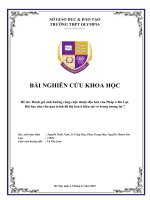 Đề tài đánh giá ảnh hưởng công cuộc thuộc địa hoá của pháp ở đà lạt  bài học nào cho quá trình đô thị hoá ở hiện tại và trong tương lai