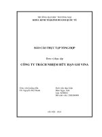 Báo cáo thực tập khoa kinh tế đại học thương mại   công ty tnhh gsi vina