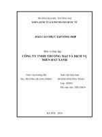 Báo cáo thực tập khoa kinh tế đại học thương mại   công ty tnhh thương mại và dịch vụ miền đất xanh