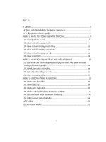 Mô tả chiến lược stp của công ty uniben