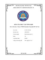 Báo cáo thực tập khoa kinh tế đại học thương mại    công ty tnhh giải pháp công nghệ ibf việt nam