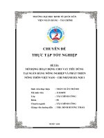 Chuyên đề thực tập tốt nghiệp: Mở rộng cho vay tiêu dùng tại ngân hàng Nông nghiệp và Phát triển Nông thôn - chi nhánh Hà Nội 1