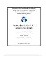 Term project report robotics (me3015