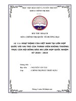 Tiểu luận HOẠT ĐỘNG CỦA VIỆT NAM TẠI LIÊN HỢP QUỐC VỚI VAI TRÒ CỦA THÀNH VIÊN KHÔNG THƯỜNG TRỰC CỦA HỘI ĐỒNG BẢO AN LIÊN HỢP QUỐC NHIỆM KỲ 2020  2023