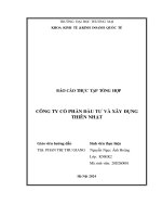 Báo cáo thực tập khoa kinh tế đại học thương mại   công ty cổ phần đầu tư và xây dựng thiên nhật