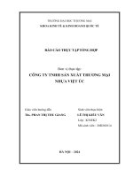 Báo cáo thực tập khoa kinh tế đại học thương mại   công ty tnhh sản xuất thương mại nhựa việt úc
