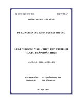 Đề tài nghiên cứu khoa học cấp Trường: Luật Nuôi con nuôi - Thực tiễn thi hành và giải pháp hoàn thiện