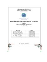 Đề tài thảo luận dân chủ và dân chủ xã hội chủnghĩa môn chủ nghĩa xã hội khoa học