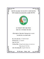 Đề bài tập lớn nhận thức về phong trào và vai trò toàn dân bảo vệ an ninh tổ quốc