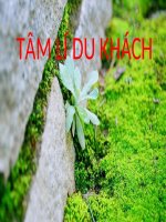 Bài giảng Tâm lý du khách