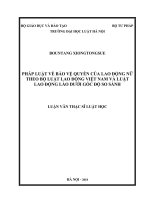 Luận văn thạc sĩ Luật học: Pháp luật về bảo vệ quyền của lao động nữ theo Bộ luật Lao động Việt Nam và Luật Lao động Lào dưới góc độ so sánh
