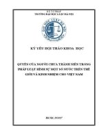 Kỷ yếu hội thảo khoa học: Quyền của người chưa thành niên trong pháp luật hình sự một số nước trên thế giới và kinh nghiệm cho Việt Nam