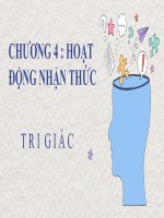 Chương 4  hoạt động nhận thức  tri  giác