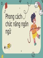 Slide phong cách chức năng ngôn ngữ