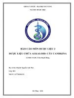 báo cáo môn dược liệu 2 dược liệu chứa alkaloid cây canhkina
