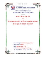 tiểu luận ứng dụng của ngành nhiệt trong bảo quản thủy hải sản