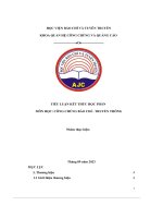 tiểu luận kết thúc học phần công chúng báo chí truyền thông công ty cổ phần hàng không vietjet air