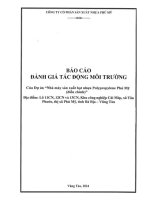 báo cáo đtm dự án nhà máy sản xuất hạt nhựa polypropylene phú mỹ điều chỉnh