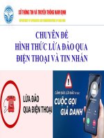 chuyên đề hình thức lừa đảo qua điện thoại và tin nhắn