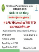 nhóm 10 báo cáo sáng24 10 ppt