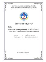 Chuyên đề thực tập: Đẩy mạnh kinh doanh dịch vụ môi giới xuất nhập khẩu tại Công ty Steel Plus Trading