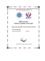 tiểu luận năng lượng tái tạo