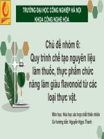 chủ đề nhóm 6 quy trình chế tạo nguyên liệu làm thuốc thực phẩm chức năng làm giàu flavonoid từ các loại thực vật