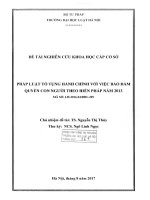 Đề tài nghiên cứu khoa học cấp Trường: Pháp luật tố tụng hành chính với việc bảo đảm quyền con người theo hiến pháp năm 2013